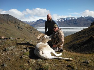 Sheep hunting, Ellis Big Game Guides, Nabesna, Alaska.