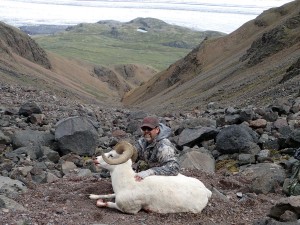 Sheep hunting, Ellis Big Game Guides, Nabesna, Alaska.