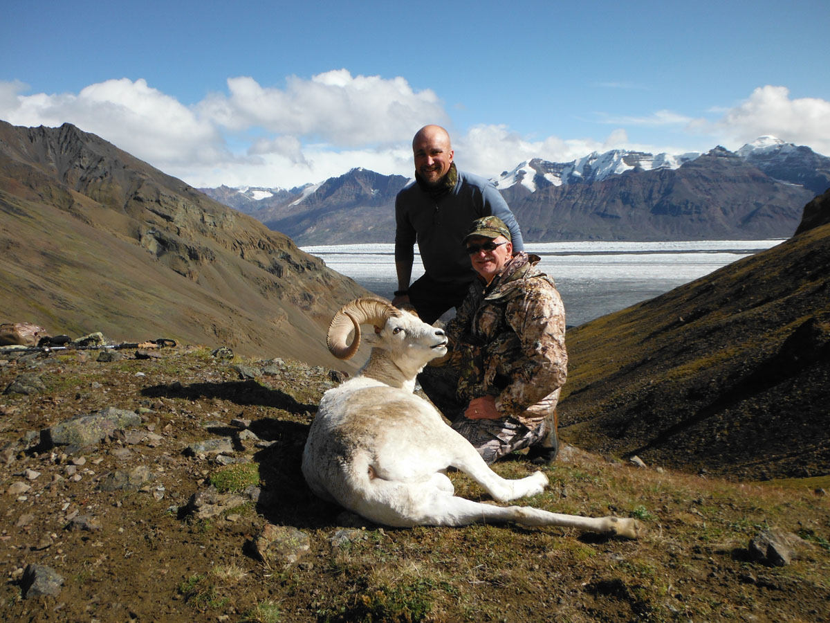 Hunting photo (027-sheep)